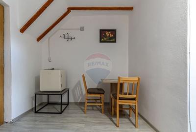 Casa / Vila cu 7 camere de vanzare - 10