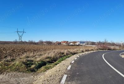 Teren de 10614 mp, în Mareș - 5