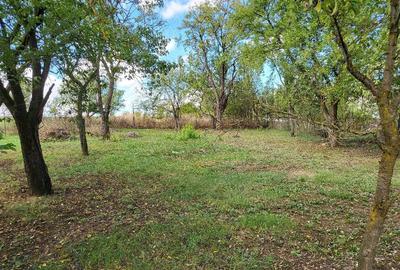 Casă cu 2 camere în Luna - 1