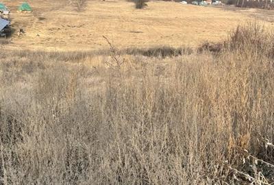 Teren 9.555mp front 28ml constructie ansamblu case Iris - 2