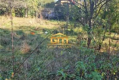 Teren 1780,92 mp in Olanesti-Bai - 3