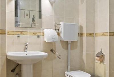 Casă individuală cu 10 camere cu Piscina în Iancu Nicolae - 26