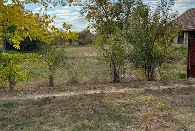 Casă cu 4 camere în Hodoni - 3