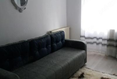 Apartament cu 2 camere nedecomandat în Poiana Țapului - 10