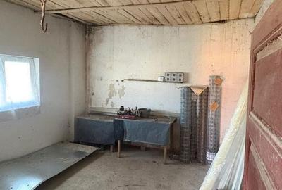Spațiu comercial, de 215 mp, în Brazda lui Novac - 5