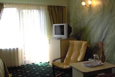 Casă individuală cu 19 camere cu Teren 557 Mp în Predeal - 8