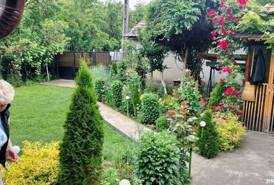 Casă cu 3 camere în Drăgășani - 10