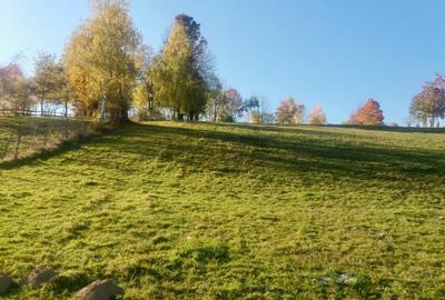 Teren intravilan de vanzare – Bran, Sohodol - 1