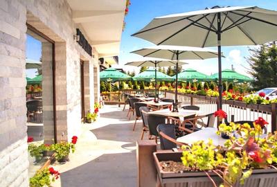 Afacere la Cheie - Pensiune 12 camere în Păltiniș - 7