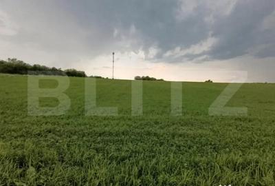 Casă cu 4 camere cu Teren 21500 Mp în Dej - 2