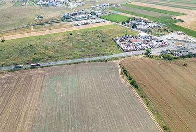 Teren extravilan 12.000 mp DN79 Arad-Oradea - 8