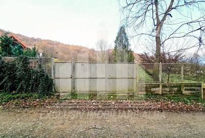 Teren Construcții intravilan de 2900 mp, în Vest - 4