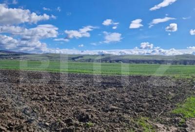 Teren de 15000 mp, în Central - 3