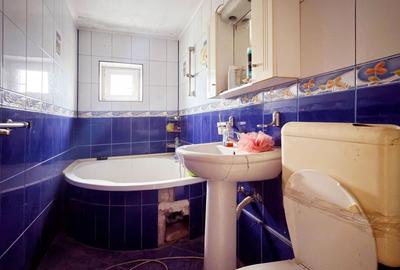 Apartament cu 3 camere decomandat în Doamna Ghica - 17