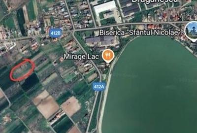 Teren 2500mp Mihailesti Draganescu, deschidere 25m - 1