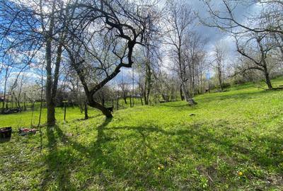 Spațiu comercial, în Pietriceaua - 1