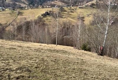 Vanzare Teren cu Punct de Belvedere in Moieciu zona Magura-Pestera - 14