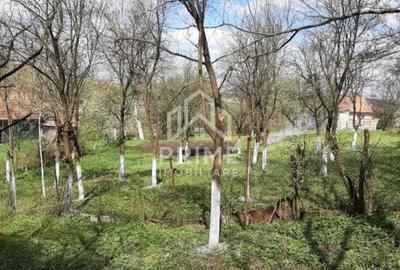 Teren de 2180 mp, în Berghin