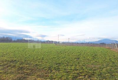 Teren de 5435 mp, în Hălchiu - 4