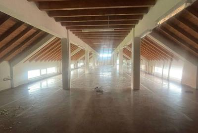 Inchiriez spatii comerciale si industriale in Dumbravita - 17