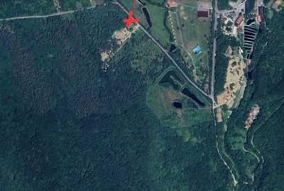 Teren de 10661 mp, în Cârțișoara - 1