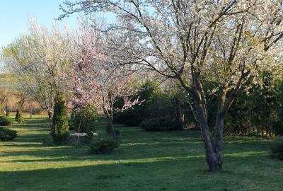 Casă individuală cu 6 camere cu Canalizare în Crevedia - 22