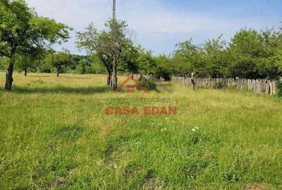 Teren intravilan in Campina, 1490mp--26.820e - 4