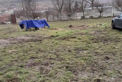 Spațiu comercial, de 3,600 mp, în Șura Mare - 4