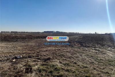 Teren Balotesti vecin gard Therme 13600 mp apropiere DN1 - 2