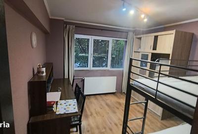 Apartament cu 3 camere decomandat, mobilat în Giurgiului - 6
