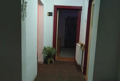Apartament 3 camere - 1