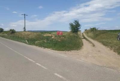 Teren de 3319 mp, în Arcuș - 4