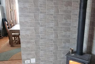 Casă cu 5 camere cu Teren 3000 Mp în Mitocu Dragomirnei - 1