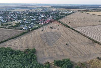 Ocazie investitie, teren intravilan Tamasi / Buftea - 4