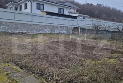 Casă cu 7 camere cu Teren 1359 Mp în Unirii - 8