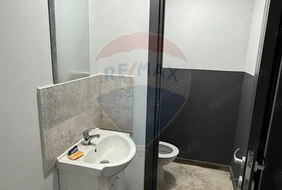 Service camioane ?i auto ?oseaua Suraii hala 400 mp - 13