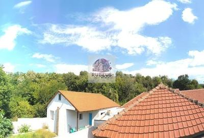 Refugiul la marginea pădurii in Orșova, pe malul Dunării - 18