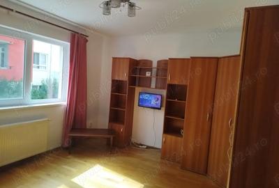 Apartament cu 2 camere în Turnișor - 10