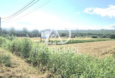 Teren intravilan de 3024 mp, în Moi - 3