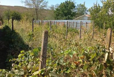 Vand casa in Grivi?a Vand casa in Grivi?a - 9