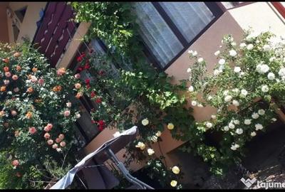 Casă cu 5 camere cu Teren 2600 Mp în Mitocu Dragomirnei - 8