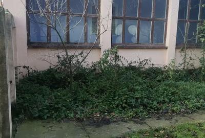 Casă cu 3 camere cu Teren 1500 Mp în Secusigiu - 1