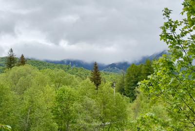 Vila vacanta Cheia - Prahova, pretabila pentru investitie - 39