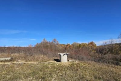 Casă cu 5 camere cu Teren 1532 Mp în Șinca - 7