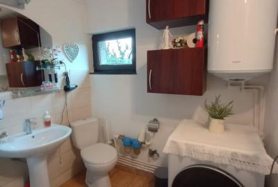 Casa individaual renovata, curte amenjata Boteni de Arges - 22