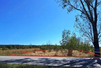 TEREN INTRAVILAN ?I EXTRAVILAN BAIA DE FIER - 2