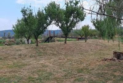 Teren de vanzare - 1