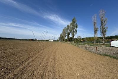 0% comision Teren intravilan – Ciolpani – Izvorani | 1.300 mp - 5