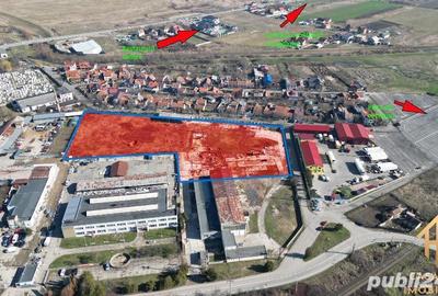 Teren intravilan de 13.418 mp in Lugoj: Oportunitate investi?ionala! Teren intravilan de 13.418 mp in Lugoj: Oportunitate investi?ionala! - 2