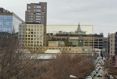 Apartament 3 camere Centru Palas Mall - Amazon - 26